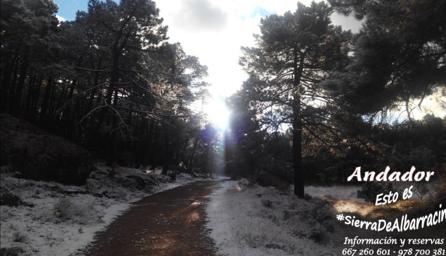 #FelizDomingo con #Nieve y #Turismo en #SierraDeAlbarracin