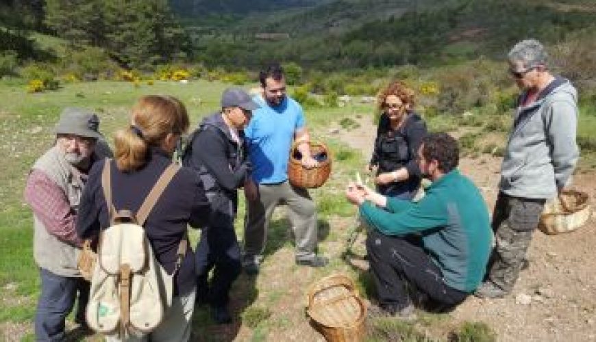Sierra de Albarracín y Micología de la mano en primavera