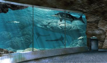 Noticia de Diario de Teruel: El ‘acuario’ del Jurásico que albergará Dinópolis empezará a construirse a finales de 2020