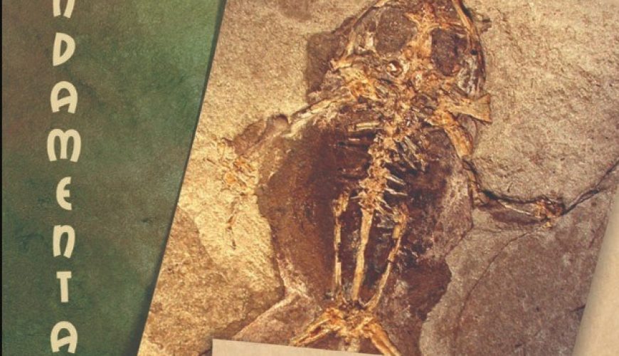 Noticia Eco de Teruel: Fósiles de Libros (Teruel) protagonizan otro relevante avance metodológico en Paleontología
