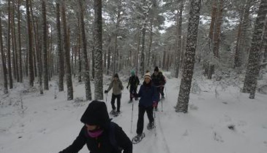 Noticia Diario de Teruel: Las pistas de esquí de fondo de Griegos abren este sábado la temporada
