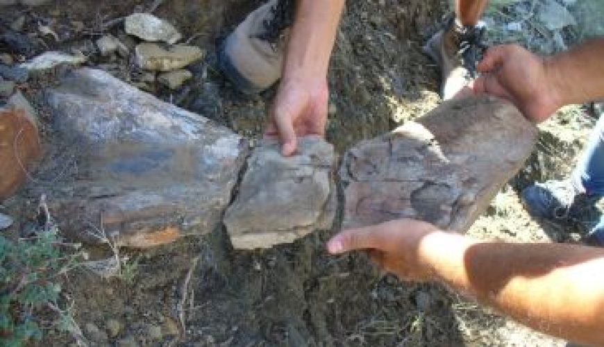 Noticia Diario de Teruel: La Fundación Dinópolis ha inventariado 30 nuevos yacimientos de dinosaurios en la Sierra de Gúdar en los últimos cinco años