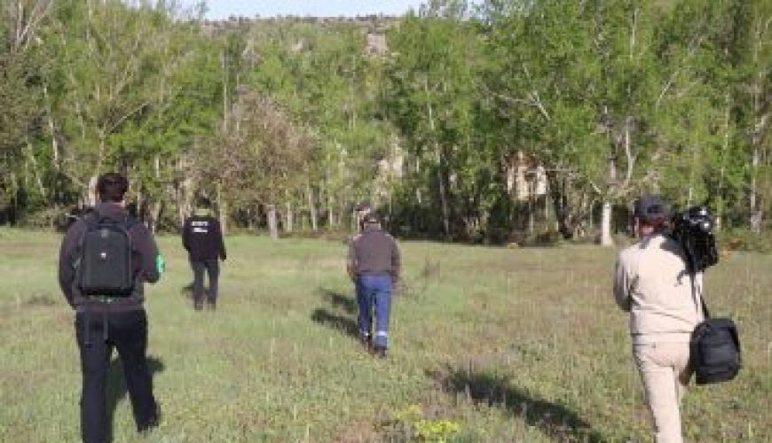 Noticia Diario de Teruel: El estado de alarma ayuda a regenerar el Parque Micológico de la Sierra de Albarracín