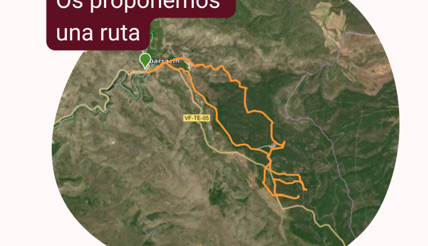 De Ruta por los Pinares del Rodeno desde Albarracín